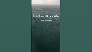 سورة النصر #السديس ، نصركم الله و غفر لكم ❤️