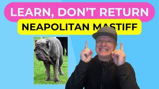 Neapolitan Mastiff Learn,Don't ↩Return #neapolitanmastiff #mastiff #learndontreturn