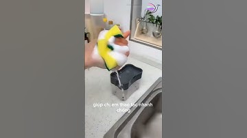 Hộp đựng nước rửa chén 1