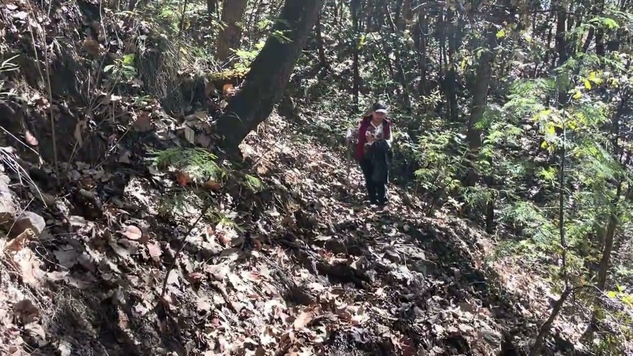 20 de febrero de 2026