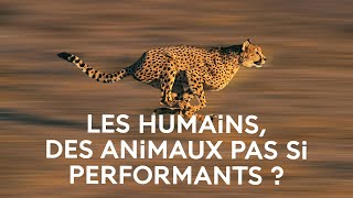 Animaux et humains : les performances sportives face à la biomécanique