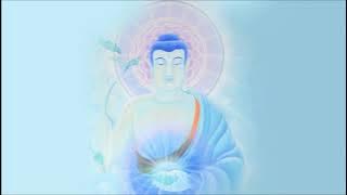 🎵 THANH THẢN giai điệu Thần Chú Dược Sư - Tayatha Om Bekanze Bekanze - Medicine Buddha Mantra