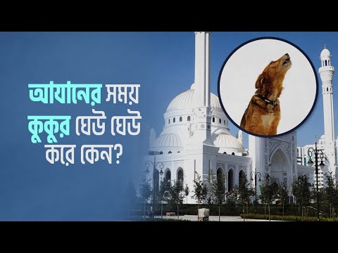 আযানের সময় কুকুর ডাকে কেন?