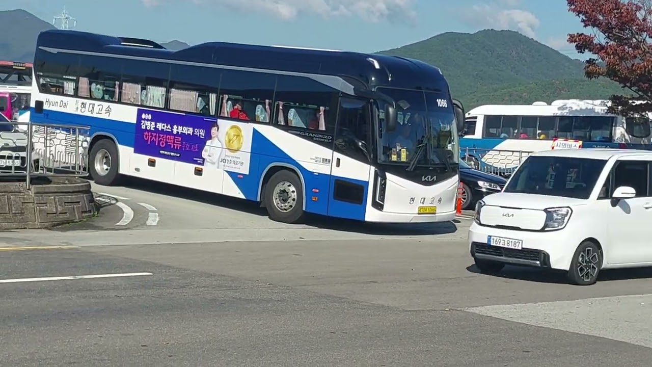 고성시외버스터미널 버스풍경들