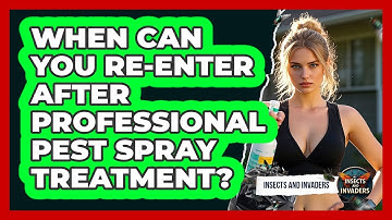 When Can You Re-enter After Professional Pest Spray Treatment? - Insects and Invaders