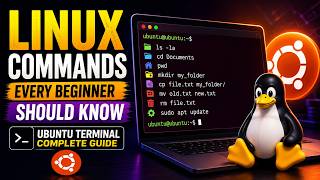 Linux Commands Every Beginner Should Know