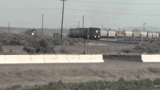 WBD Union Pacific Railroad smokes as grain train departs Elko, NV 5/3/2014