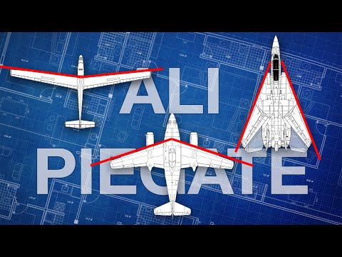 Video: Gli aerei hanno profili alari?