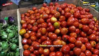 Cabe bikin keributan MAHAL sayuran ikut Mahal #kangsayur #vegetables #kangdedesayur #cabe 