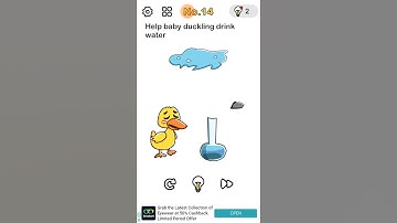 #13 Brain Out - Count the number of hairs