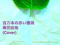 桑田佳祐:百万本の赤い薔薇(Cover)