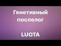 ПОСЛЕЛОГ LUOTA