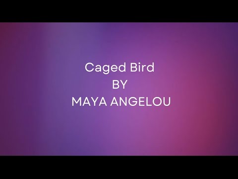 Caged Bird BY