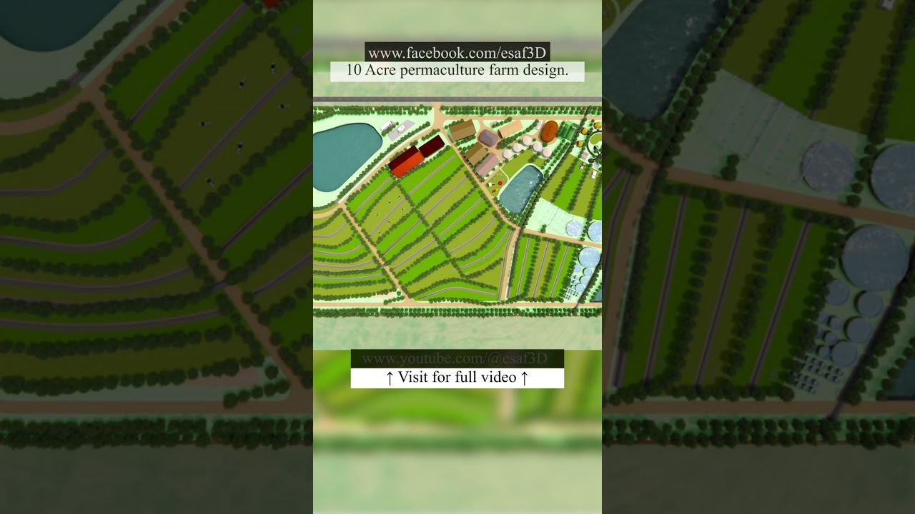 RAW visual of 10 acre permaculture farm design. 🧑‍🌾 🌴 #design #drawing #layout #nature #agriculture