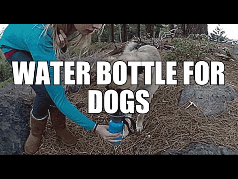 water-bottle-for-dogs---by-high-wave