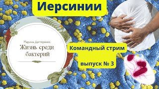 Жизнь среди бактерий. Иерсинии. План реабилитации. / Алгоритмы здоровья / NSP