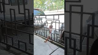Sneaky Toddler Slips Through Closed Gate