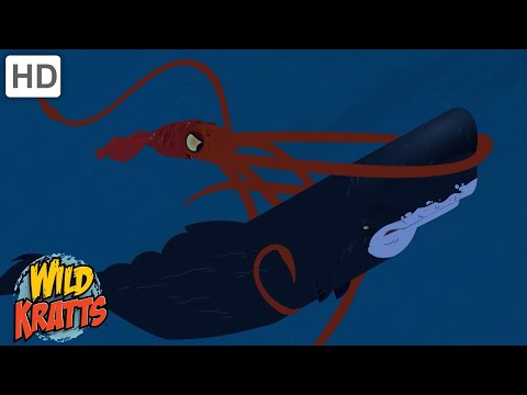 Ocean Creatures | Sharks, Whales, Squid + more! [Full Episodes] Wild Kratts