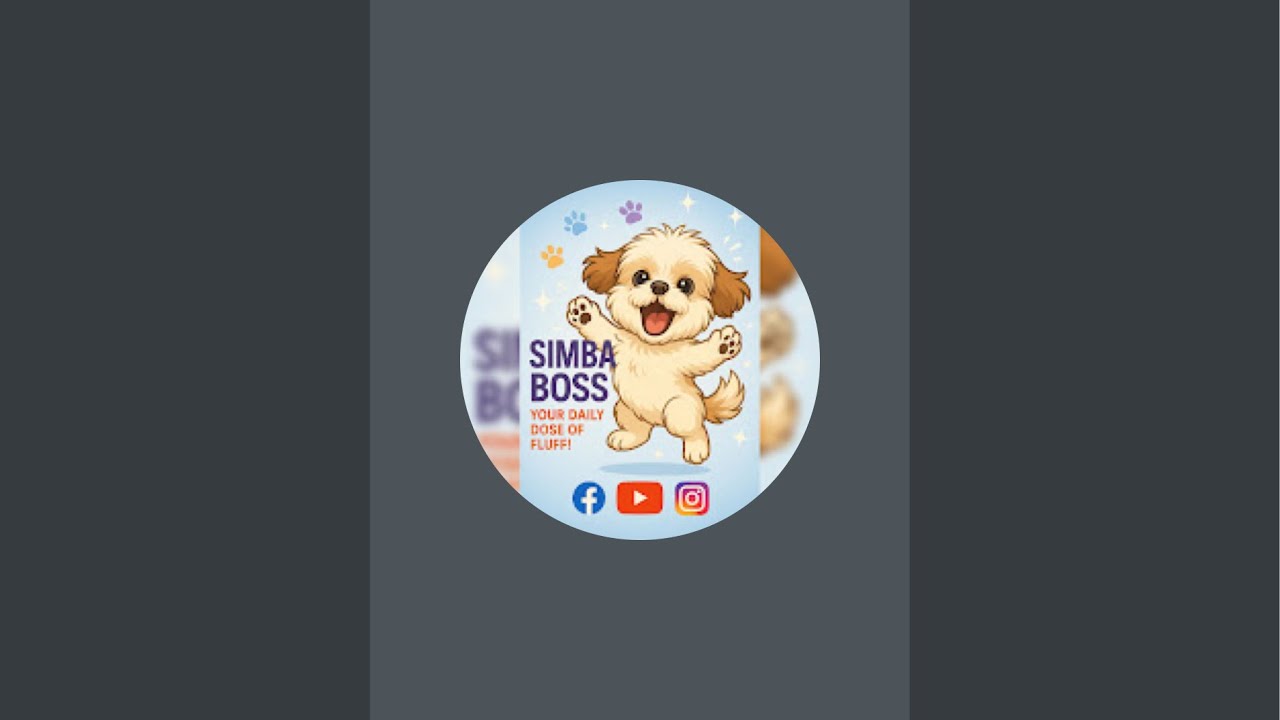 "🐶 Simba LIVE | Cute Shih Tzu Puppy मचाएगा धूम | Dog Lovers Join Now | Chat • Laugh • Enjoy ❤️"