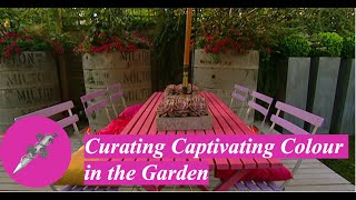 Curating Captivating Colour in the Garden