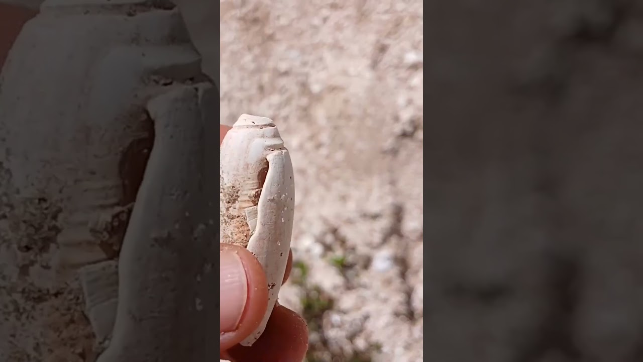 Что это и то?