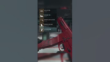 *Best* M13B Class set up (MW2)