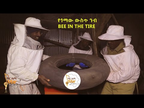 ጌታቸው ጋዲሳ ማር ዜማ የጎማው ውስጥ ንብ ቁጥር 1 Getachew Gadissa Bee In The Tire Episod 1