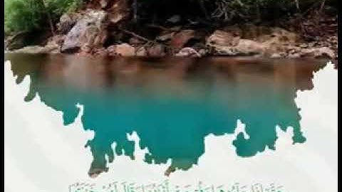 تلاوة خاشعة وآيات مباركات من سورة الزمر.📚/القارئ عمر الدريويز../حالات واتس أب دينية..💞