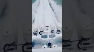 WIDE OPEN 42 Freeman Cat Boat￼!!😜😁Hang On Tight