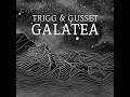 Trigg  gusset  galatea official