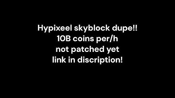 Hypixel Skyblock DUPE - 10B coins per/h (NOT PATCHED)