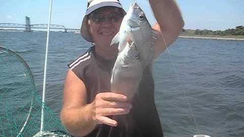 PORK CHOPS JAMAICA BAY
