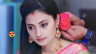 Love Feelingromanticwhatsapp Status Video2022Romantic Love Statussharara Short Video App