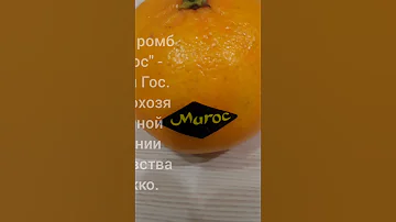 История марокканских мандарин в СССР.
