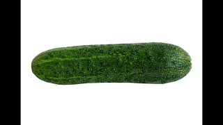 Cucumber Song