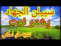 پشتو نعت سبیلن الجهاد  
