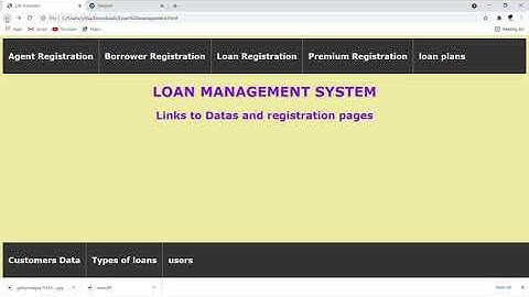 loan management system