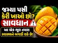 જમ્યા પછી કેરી ખાઓ છો? ⚠️ સાવધાન! આ ભૂલ સ્વાસ્થ્યને બગાડી શકે છે