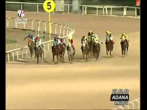 Adana Hipodromu (42. Yarış Günü) 9. Koşusu - YouTube