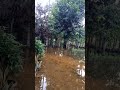 Banjir di bulan ramadhan shorts youtubeshorts family familyvlog dance fyp