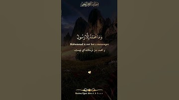 شیخ ادریس ابکر🎙سورة آل عمران، آیه ۱۴۴🤍