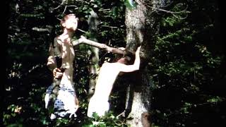 Finny falls from the tree.  A Separate Peace 1972