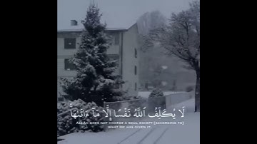 لا يكلف الله نفسًا الا ما اتاها 💛 سورة الطلاق- رعد الكردي ، تابعوني instagram : quranandzekr