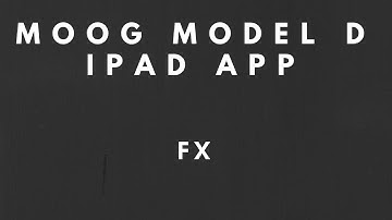 Moog Model D iPad App - FX