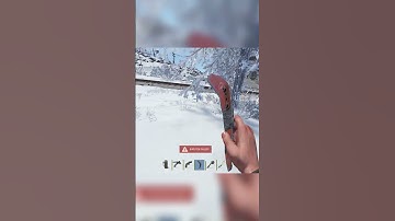 bro turned into the devil #rust