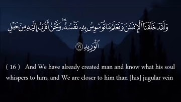 سورة ق بصوت القارئ وديع اليمني