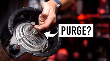 Does PURGING THE KEG Have A Perceptible Impact On Beer? | exBEERiments