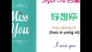 Hao Xiang Ni by Joyce Chu