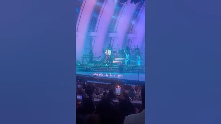 Wizkid Hollywood Bowl Performance   #wizkid #trending #viralvideo #afrobeat #nigeria #hollywoodbowl