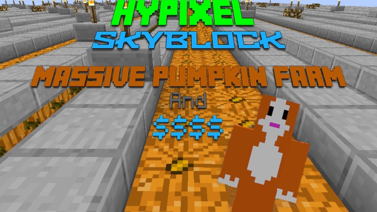Hypixel Skyblock Massive Pumpkin Farm and Mostly Bazzar 3 YouTube
